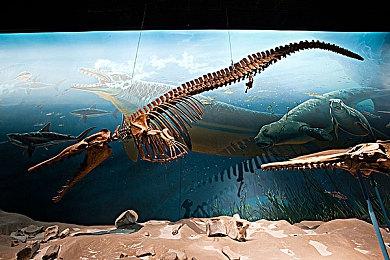 《GT赛车7》更新后提高车价 法拉利F40翻一番还多